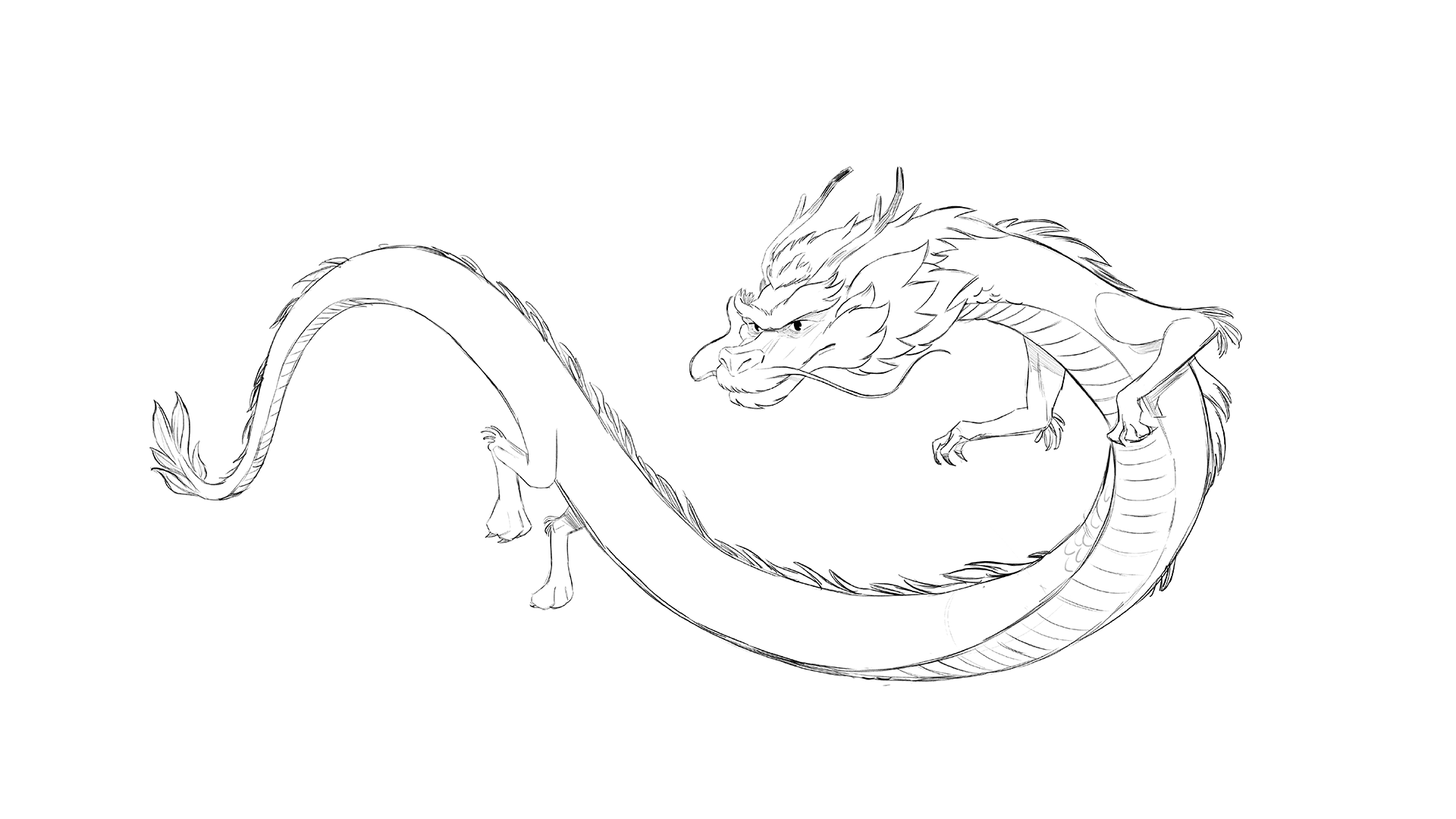 Hand-drawn sketch of a dragon created for Diptyque's Beijing special edition